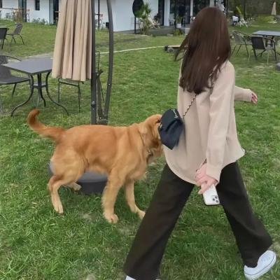 先生贵性粤语